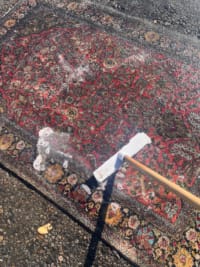 Professionelle Reinigung eines Ghom Seidenteppichs: Exakt dosierte Reinigungslotion wird als Schaum aufgetragen – schonende Behandlung ohne aggressive Chemie