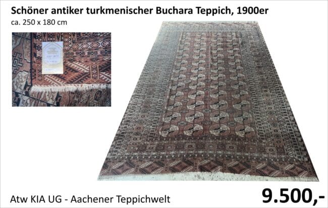 Antiker Buchara Teppich 250 x 180 cm – seltenes Sammlerstück bei ATW KIA Teppichhandel Aachen für 9.500 Euro